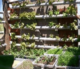 Image Title My Image